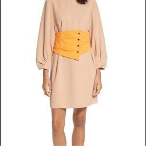 Tibi NEW Nude & Orange Shirred Long Sleeve Corset Belt Dress 8